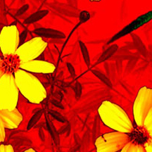 实惠的代充网站求的攻击网站在线工具